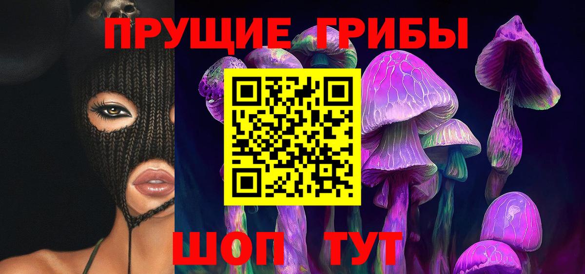 Галлюциногенные грибы Psilocybe Ишимбай